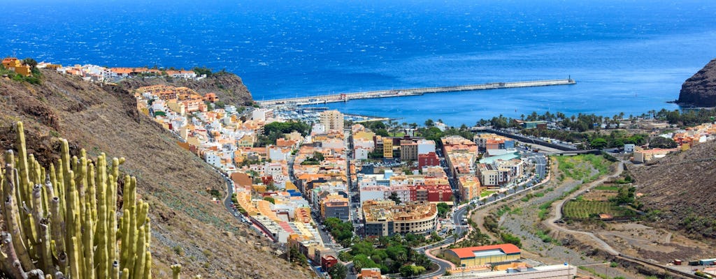 VIP Guided Tour of La Gomera with Garajonay Park and Lunch