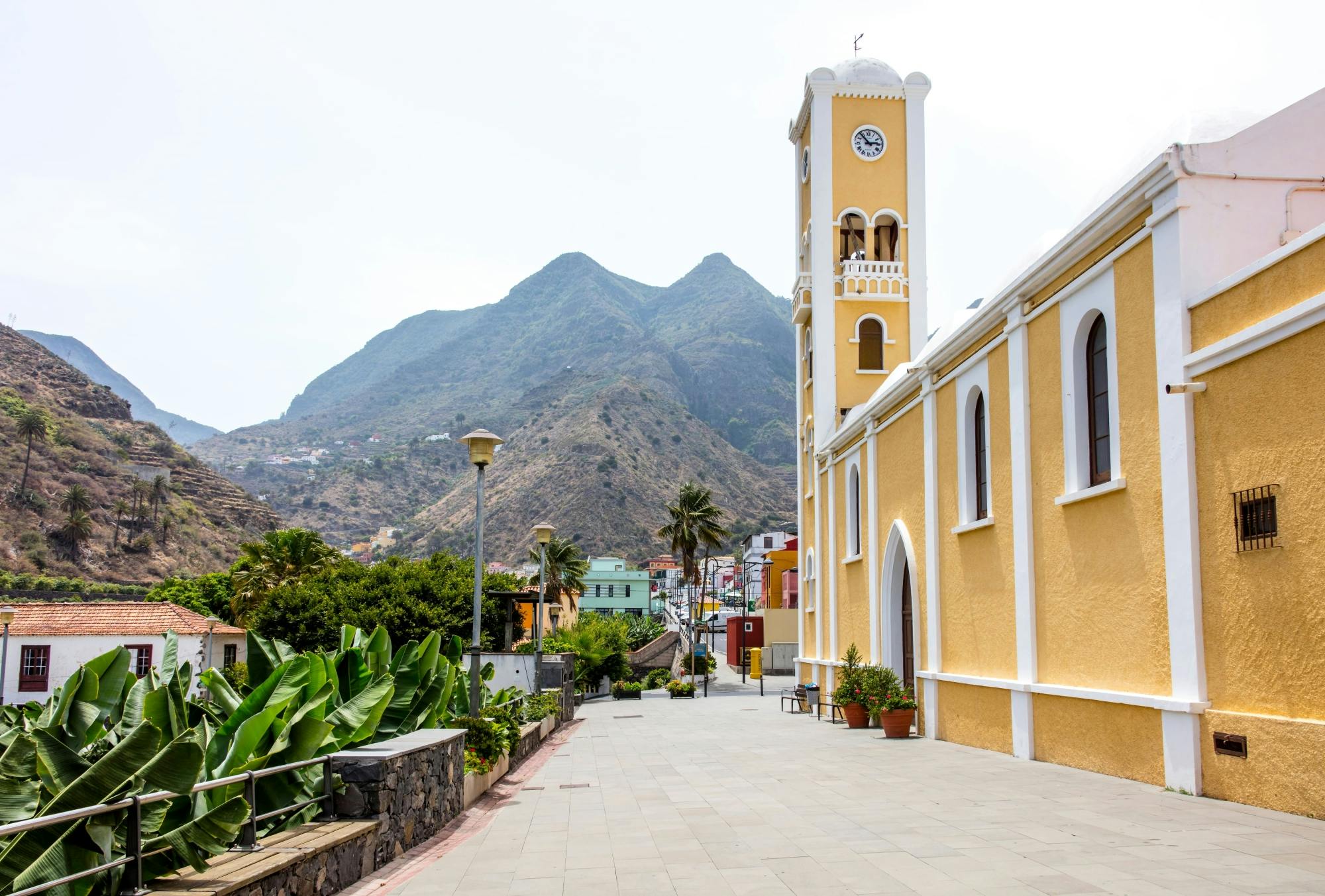 VIP Guided Tour of La Gomera with Garajonay Park and Lunch