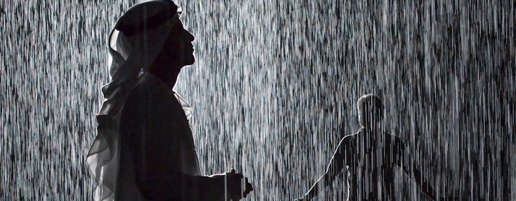 Visita a los museos de Sharjah con Rain Room