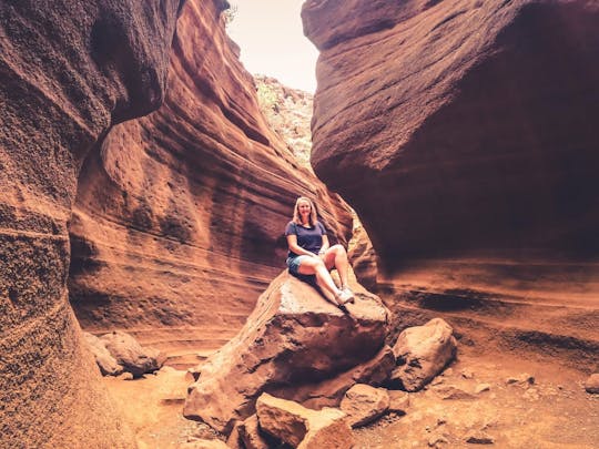 Visite d'une journée complète du Red Canyon