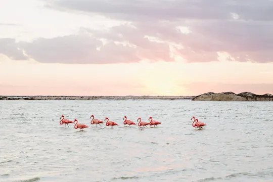 Las Coloradas całodniowa wycieczka z przewodnikiem