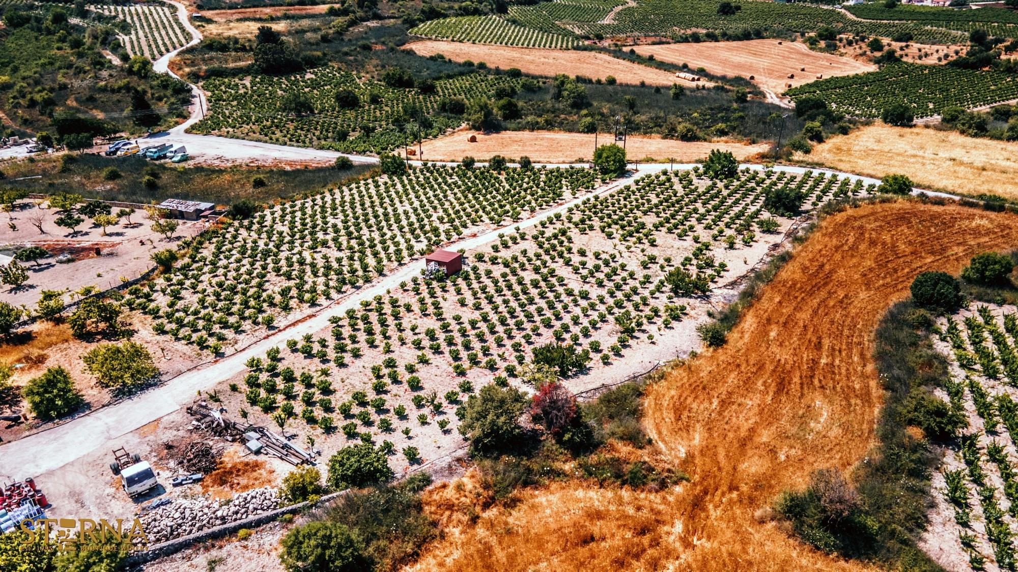 Afternoon Tour to Agios Neophytos Monastery with Wine Tasting