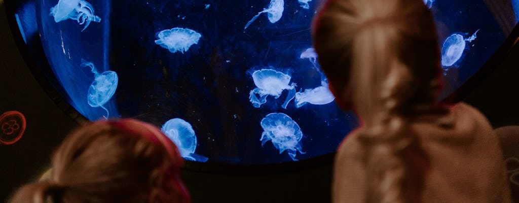 Sea Life Brighton entrance tickets