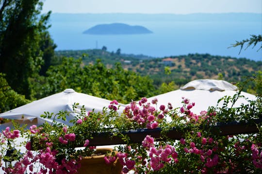 Sithonia Villages Tour with Nikiti Market and Porto Koufo