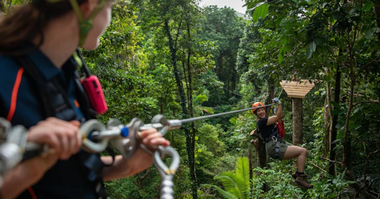 Ultimate Daintree and Cape Tribulation guided tour with meal