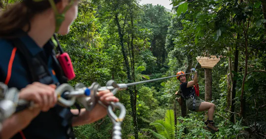 Tour guidato Ultimate Daintree e Cape Tribulation con pasto