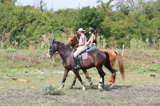 Wetland Discovery Tour at Ecopark Vaya with Foros Bay Cruise