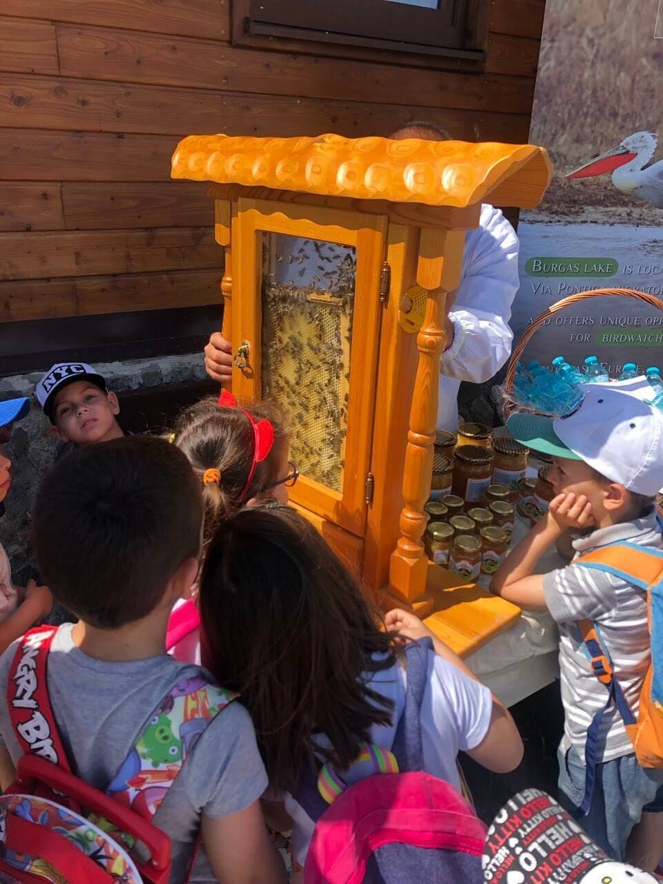 Wetland Discovery Tour at Ecopark Vaya with Foros Bay Cruise