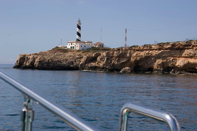 Two-hour Dolphin Spotting Catamaran Cruise with Cruceros Costa de Calvia