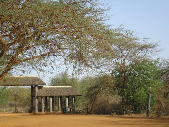 Bandia Animal Reserve i Baobab półdniowa wycieczka z Saly lub Somone