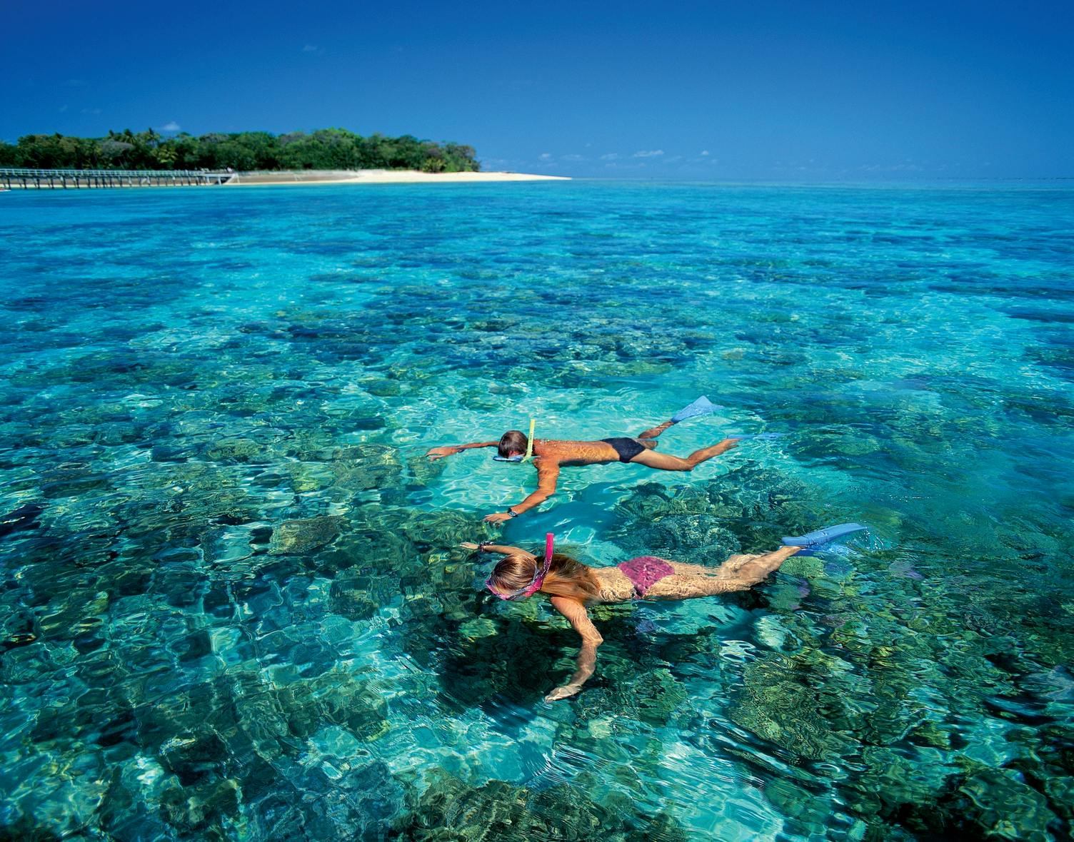 Excursão de dia inteiro à Ilha Verde com equipamento de snorkel ou barco com fundo de vidro