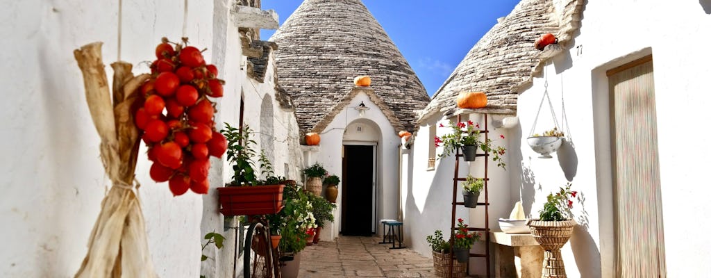 Full Day Private Tour Guide Service