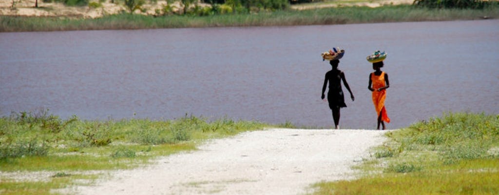 Excursão de dia inteiro ao Lago Retba e à Reserva da Tartaruga saindo de Saly ou Somone