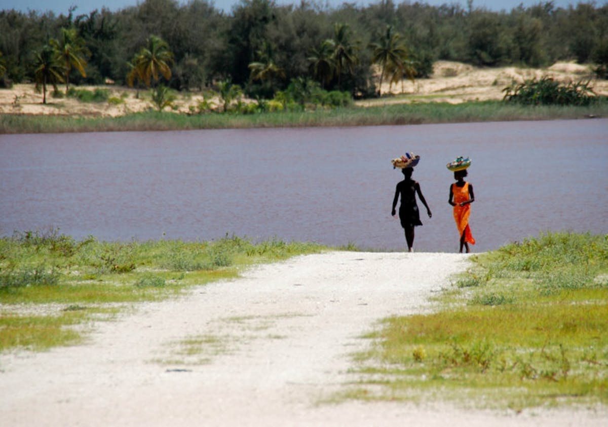 Hele dag dagtocht naar het Retba-meer en het schildpaddenreservaat vanaf Saly of Somone