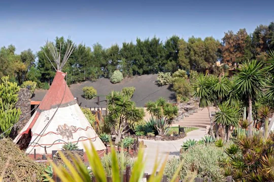 Rancho Texas Park with transport and optional lunch