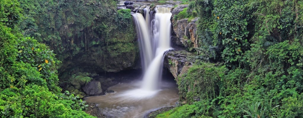 Lo mejor de las cascadas de Bali: Tibumana, Tukad Cepung y Tegenungan