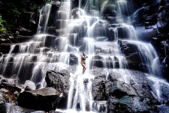 Private full-day best of Ubud tour with Jungle Swing