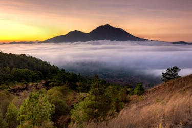 Mount Batur zonsopgangwandeling en verborgen watervalbezoek