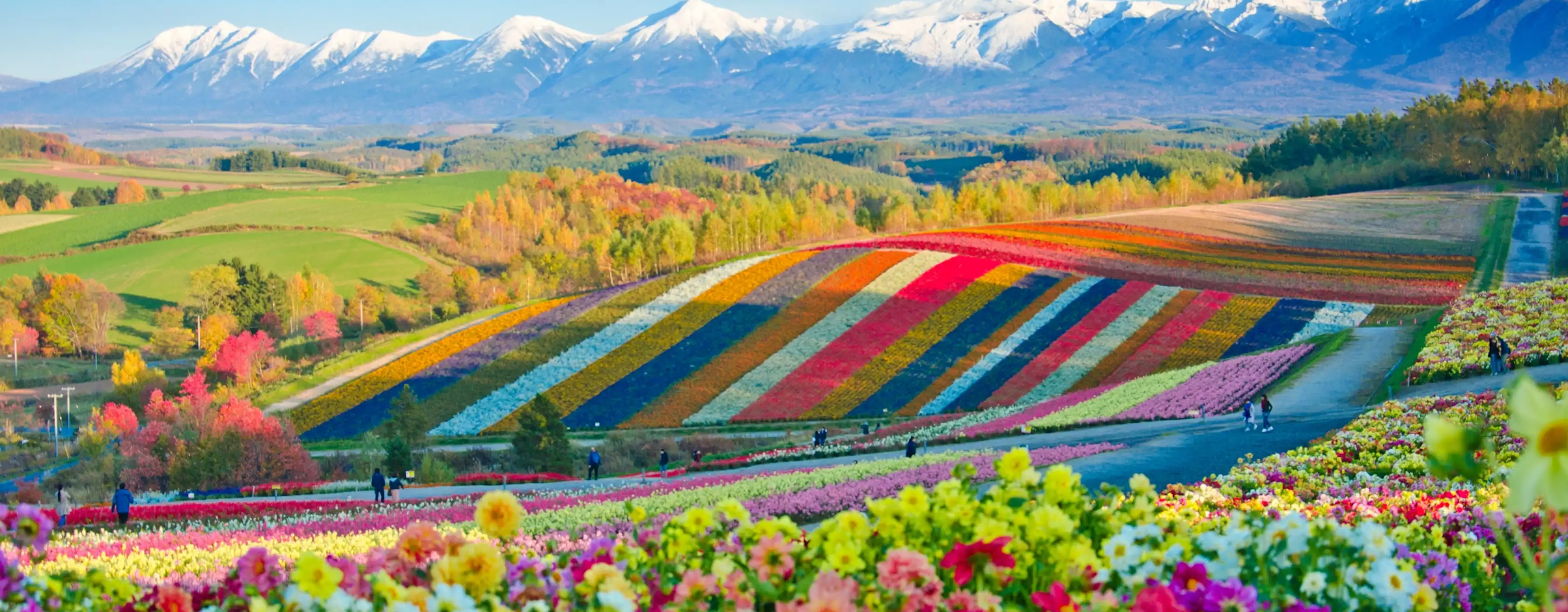Coisas para fazer em Hokkaido