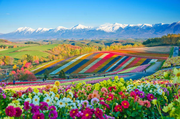 Hokkaido, Giappone