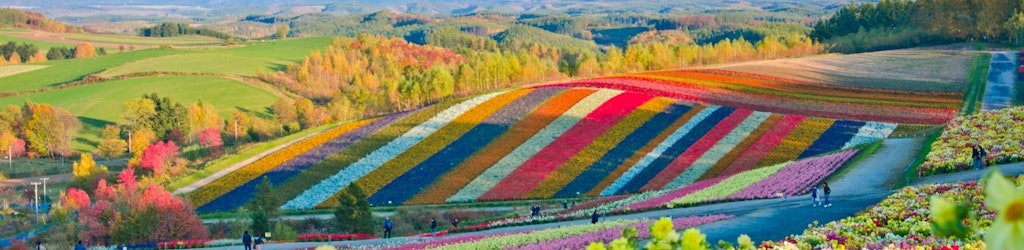 An island where seasons and nature collide in a striking spectacle of colours, Hokkaido embodies the essence of a Japanese fairytale.
