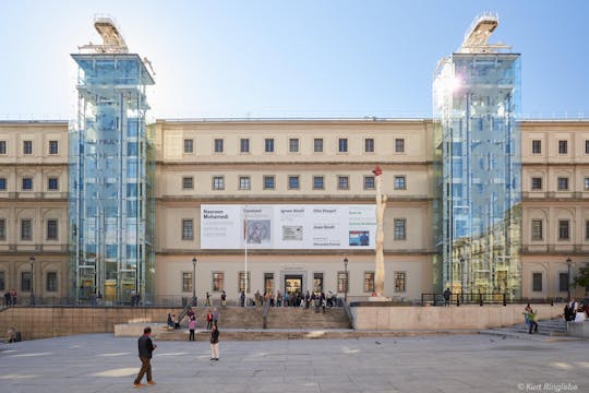 Reina Sofia Museum tour with a guide