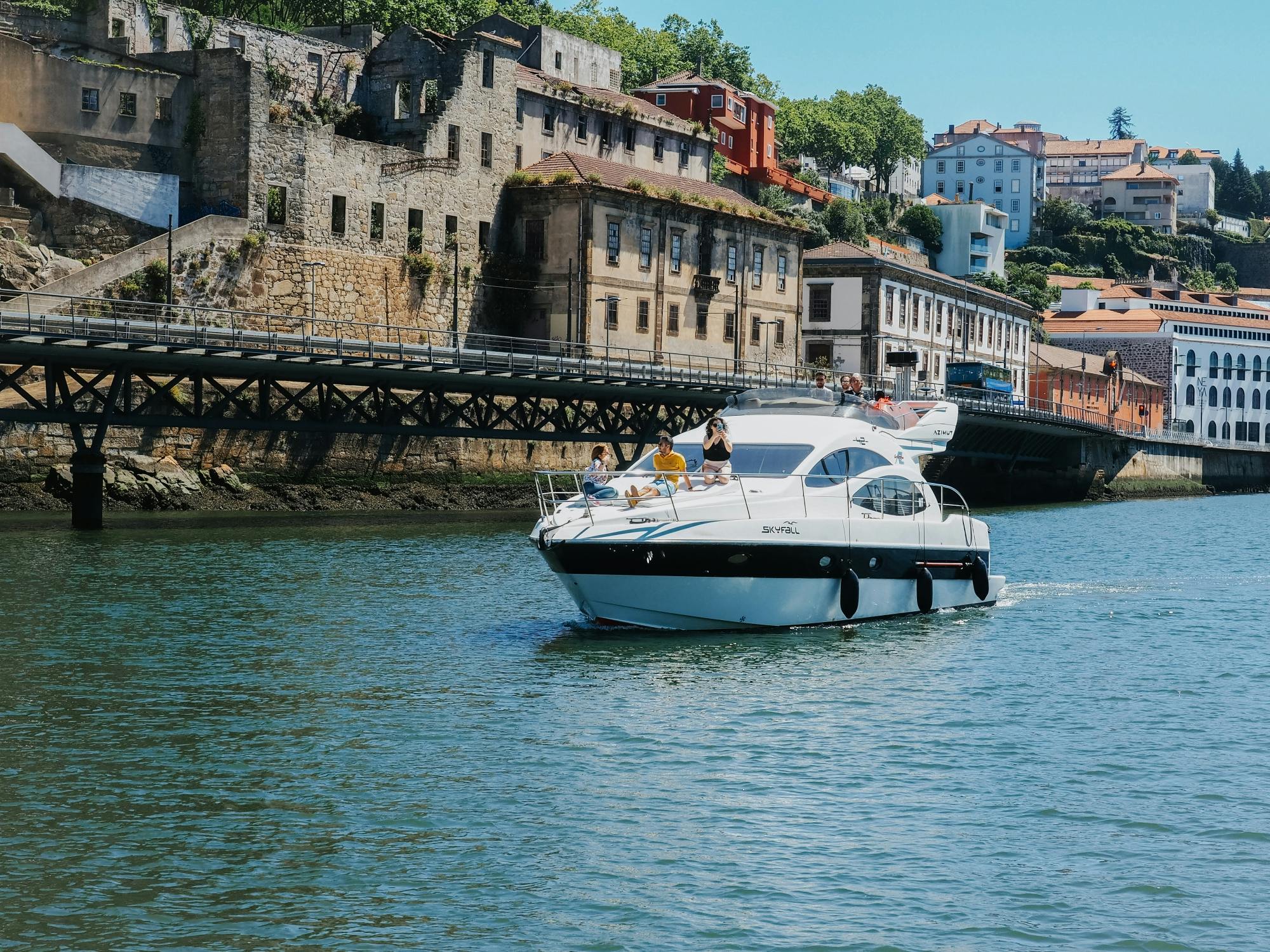 Crociera privata in yacht sul fiume Douro