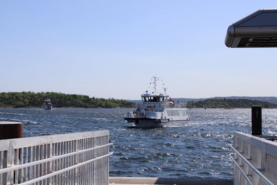 Oslo Fjord sightseeing audio-guided electrical boat tour
