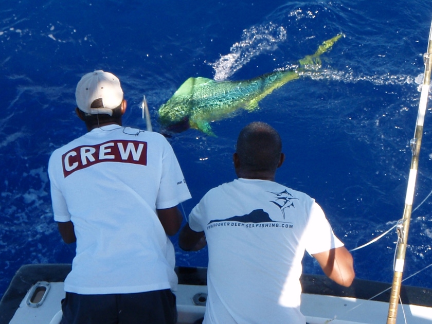 Deep sea fishing experience in Mauritius