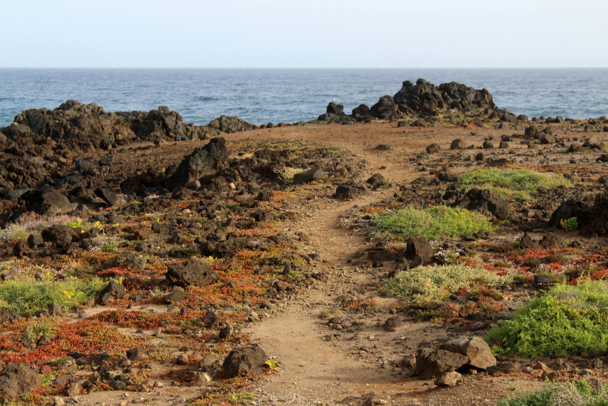 Guided Hike on Tenerife's Salt Flats Trail
