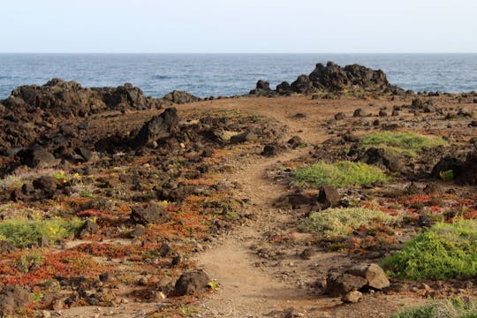 Randonnée guidée sur le sentier des salines de Tenerife