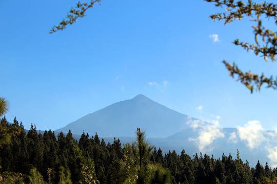 Randonnée dans la forêt de la vallée de Taoro à Tenerife
