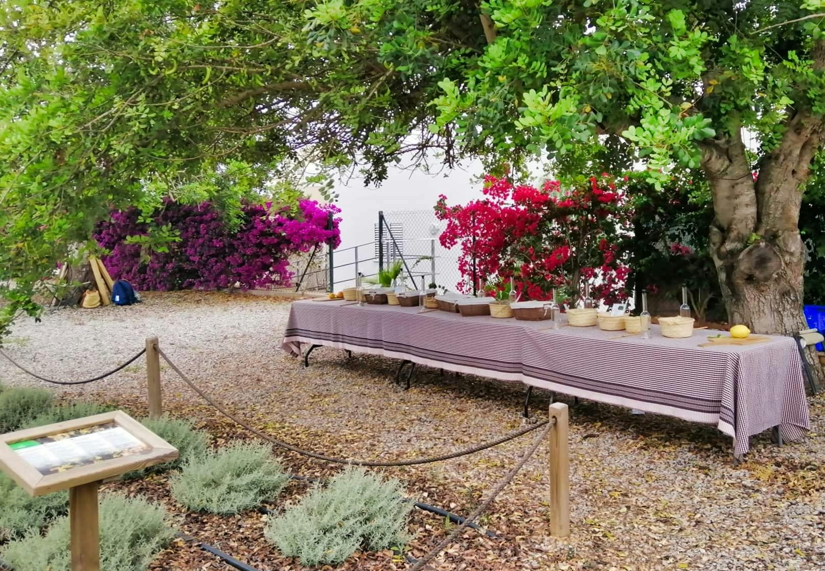 Hierbas Making Lesson