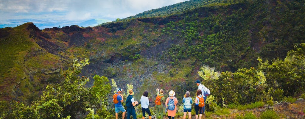 Wycieczka piesza po ukrytych kraterach Big Island