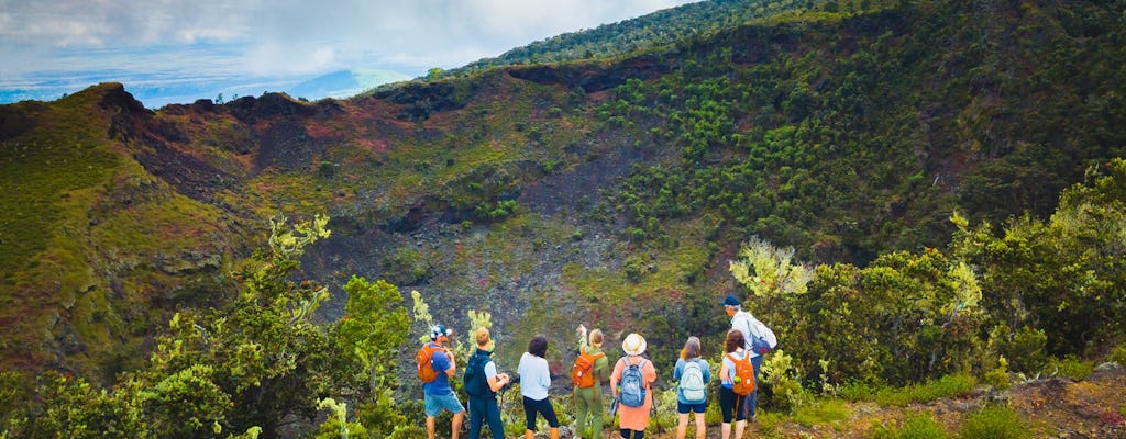 Hiking tour of Big Island's hidden craters