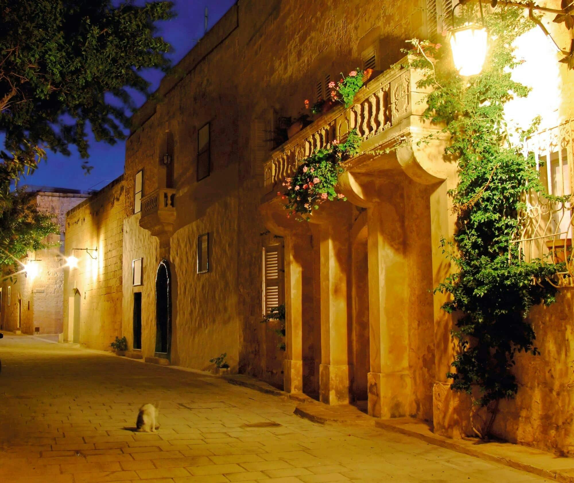 Abendliche Bustour durch Malta