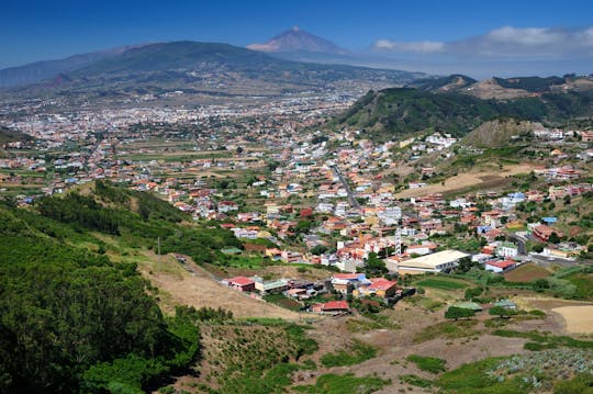 Visite guidée de La Laguna, des montagnes Agana et de Taganana