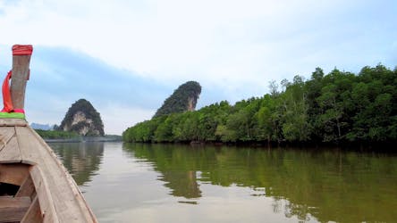 Tour privado de manglares en Krabi en bote de cola larga