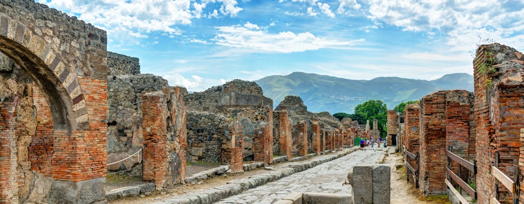 Visita privada al sitio arqueológico de Pompeya con un guía local