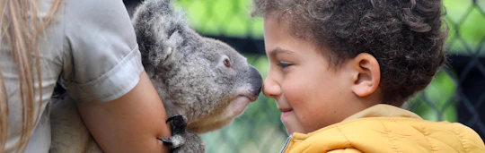 Australian Reptile Park entrance tickets
