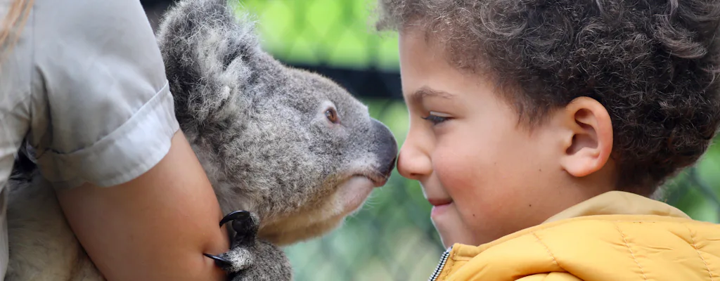 Australian Reptile Park entrance tickets experience in Somersby
