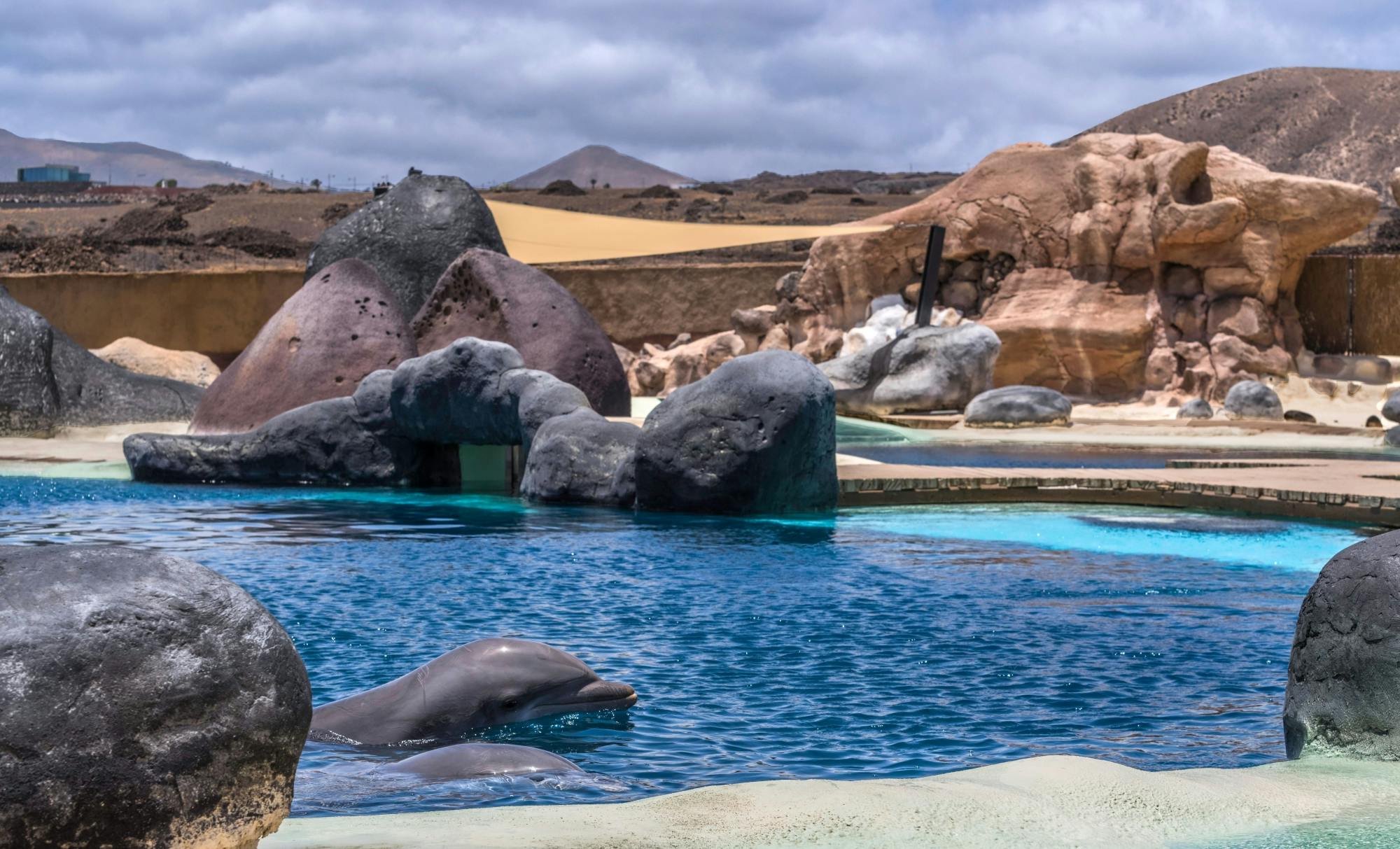 Sea Lion Interaction at Rancho Texas Park Ticket