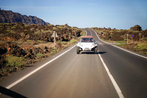 Phoenix Aloe Buggy Tour
