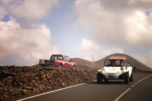 Phoenix Aloe Buggy Tour