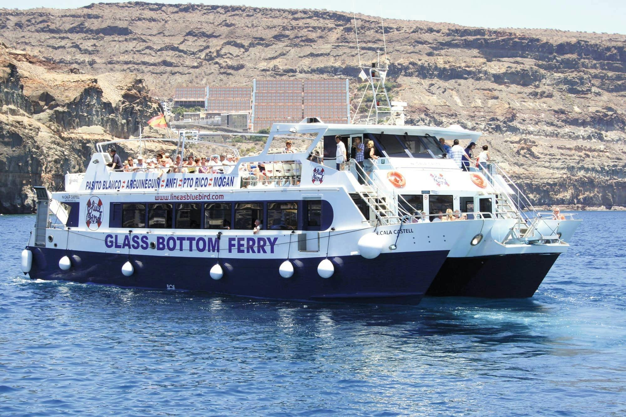 Dolphin and Whale Watching Cruise & Angry Birds Activity Park