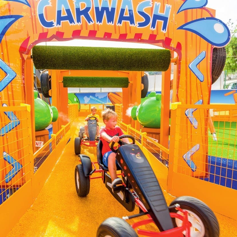 Dolphin and Whale Watching Cruise & Angry Birds Activity Park