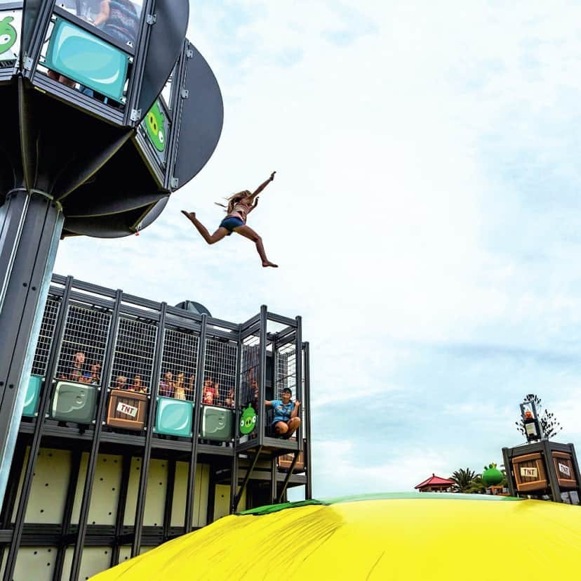 Dolphin and Whale Watching Cruise & Angry Birds Activity Park