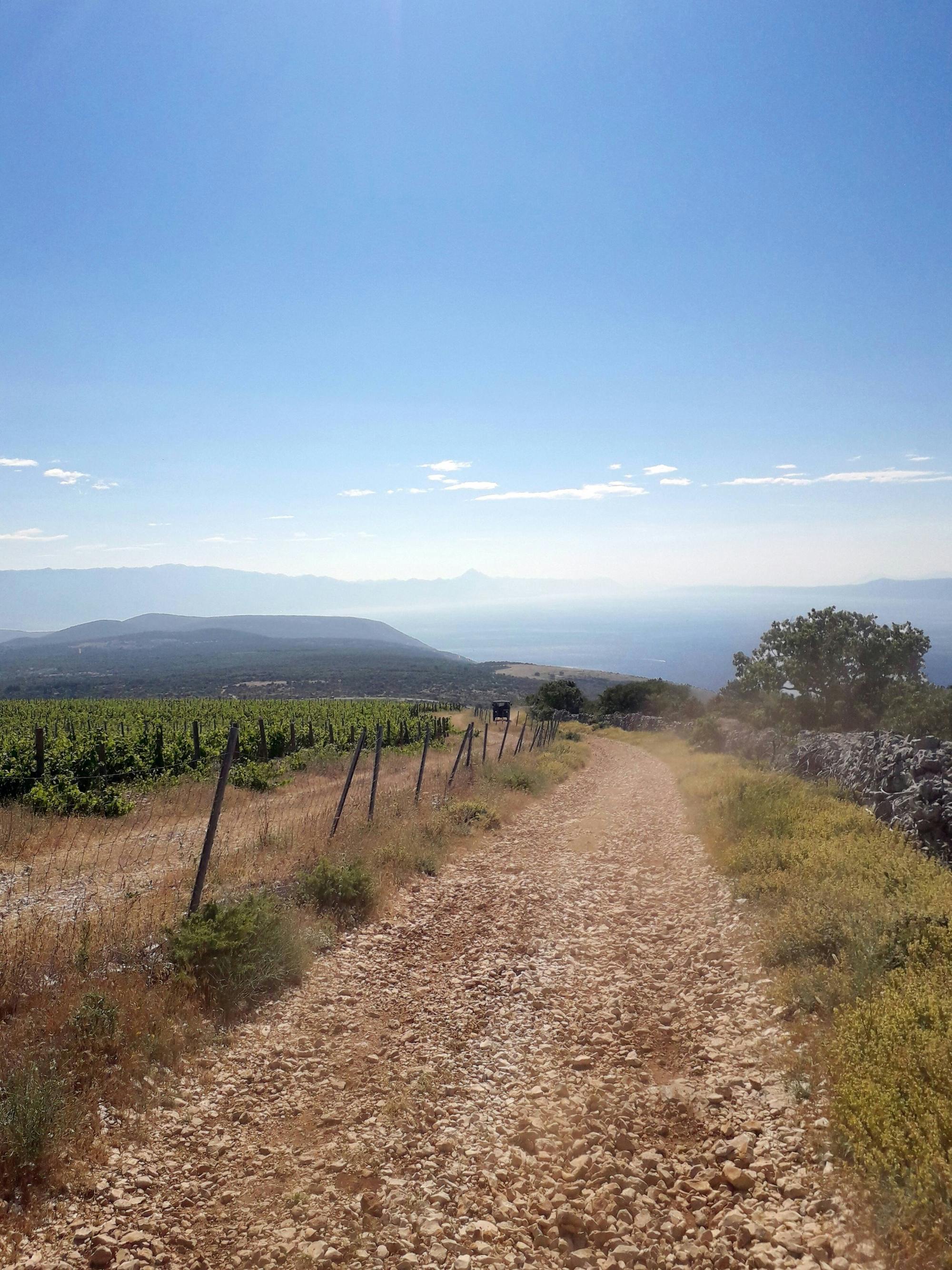 Brač Off-Road Tour with Local Food Tasting