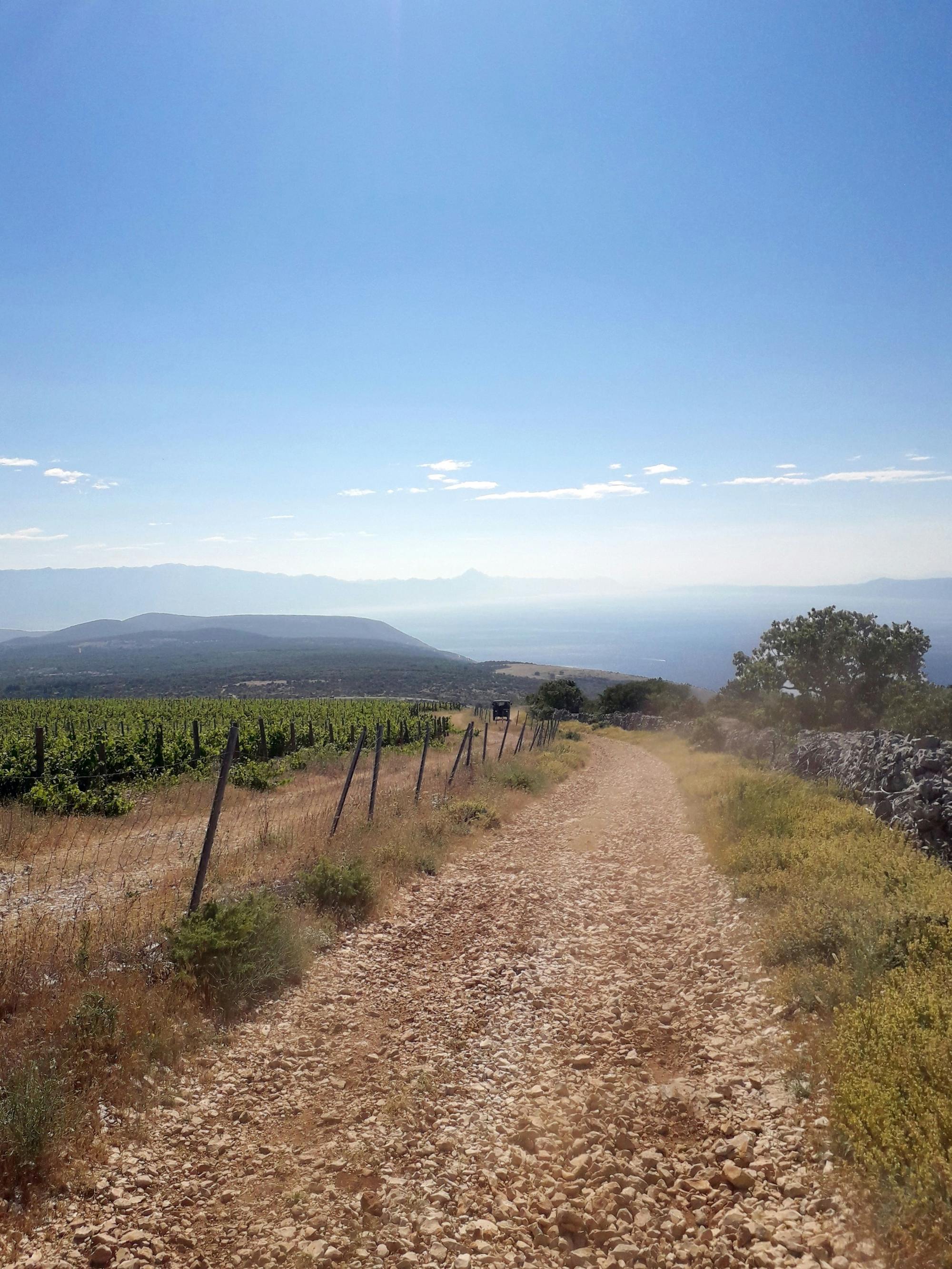 Brač Off-Road Tour with Local Food Tasting