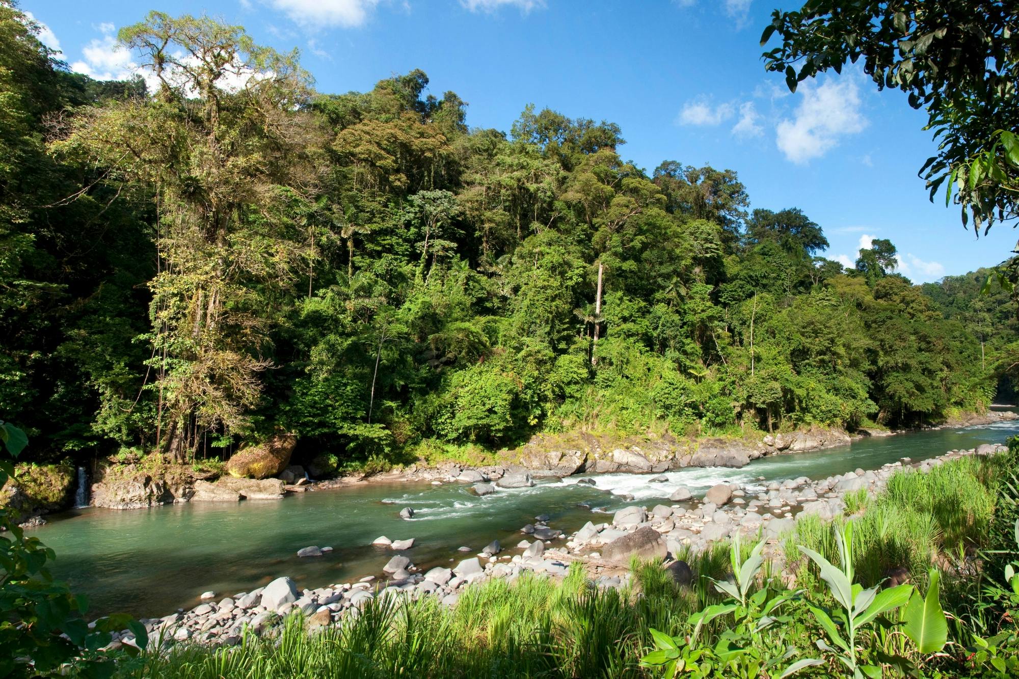 Rafting on Pacuare River Class III - IV Ticket